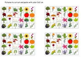 Vorschau - Mal- und Bastelvorlagen - Vokabelbilder Plants - Bildkarten Englisch - Seite 2