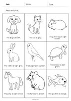 anteprima - Esercizi - Pets / Animali domestici: Read and Color 2 (Scheda di esercizi di inglese) - Pagina 2