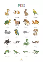 anteprima - Materiale di supporto/inclusione - Pets / Animali domestici: Vocabulary Poster (Poster per la lezione d'inglese) - Pagina 2