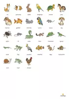 anteprima - Materiale interattivo - Pets / Animali domestici: Vocabulary Game (Gioco per la lezione d'inglese) - Pagina 3