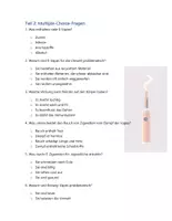 Vorschau - Arbeitsblätter - Arbeitsblatt Vapes, E-Zigaretten - Rauchen - Seite 2