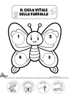 anteprima - Materiale di supporto/inclusione - IL CICLO DI VITA DELLA FARFALLA - Pagina 2
