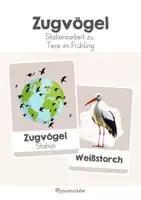 Vorschau - Stationenlernen - Station - Zugvögel (Tiere im Frühling) - Deckblatt