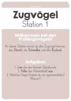 Vorschau - Stationenlernen - Station - Zugvögel (Tiere im Frühling) - Seite 2