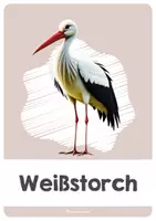 Vorschau - Stationenlernen - Station - Zugvögel (Tiere im Frühling) - Seite 3