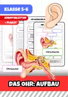 Vorschau - Arbeitsblätter - Hörsinn Materialpaket - Deckblatt