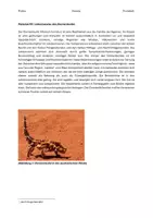 Vorschau - Arbeitsblätter - Mündliches Abitur: Ökologie und Evolution mit Neurobiologie - Seite 3