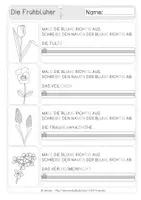 Vorschau - Arbeitsblätter - Arbeitsblätter "Frühblüher" - dreifach differenziert - ab Klasse 1 - Seite 3