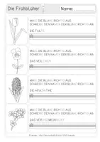 Vorschau - Arbeitsblätter - Arbeitsblätter "Frühblüher" - dreifach differenziert - ab Klasse 1 - Seite 2
