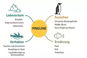 Vorschau - Arbeitsblätter - Arbeitsblatt "Pinguine" + Onlineübung & MP3 + Mindmap + Infografik - Seite 3