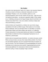 Vorschau - Arbeitsblätter - Arbeitsblatt - Der Kolibri - Tiere lernen - 2. - 4. Klasse - Seite 1