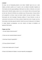Vorschau - Arbeitsblätter - Arbeitsblatt - Der Spatz - Tiere lernen - 2. - 4. Klasse - Seite 1