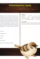 Vorschau - Arbeitsblätter - Arbeitsblatt - Der Spatz - Tiere lernen - 2. - 4. Klasse - Deckblatt