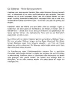 Vorschau - Arbeitsblätter - Arbeitsblatt - Die Eidechse - Tiere lernen - 2. - 4. Klasse - Seite 1