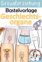 Vorschau - Arbeitsblätter - Sexualerziehung - Innere & Äußere Geschlechtsorgane - Bastelvorlage und Bildkarten - Deckblatt