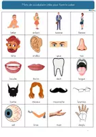 Aperçu - Apprentissages en autonomie - Cahier d’activités : le corps humain 6-8 ans - Page 3