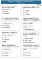 Aperçu - Apprentissages en autonomie - Le cahier d'activités pour tout savoir sur les abeilles - Page 3