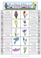 Vorschau - Fördermaterial/Inklusion - Klammerkarten Frühblüher - handgezeichnet - Seite 1