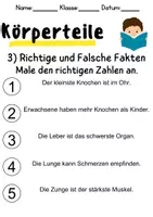 Vorschau - Mal- und Bastelvorlagen - Körperteile - Leseverstehen und Wortschatz - DaZ/DaF, Deutsch, Sachunterricht - Seite 3
