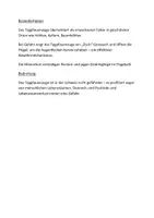 Vorschau - Stationenlernen - Leseverständnis über Schmetterlinge - Seite 2