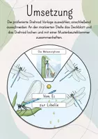 Vorschau - Mal- und Bastelvorlagen - Drehrad: Vom Ei zur Libelle/ Die Entwicklung der Libelle - Seite 3