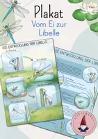 Vorschau - Poster - Plakat/ Poster: Vom Ei zur Libelle/ Die Entwicklung der Libelle - Deckblatt
