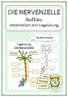 Vorschau - Arbeitsblätter - Gehirn und Nervensystem - Materialpaket - Seite 1