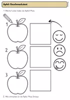 Vorschau - Stundenentwürfe - Der Apfel im Sachunterricht: Klasse 1, praktische Unterrichtseinheit mit Planung und Arbeitsblättern - Seite 3