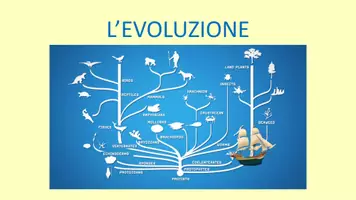 anteprima - Schede informative - DARWIN DAY - PRESENTAZIONE e SCHEDE DIDATTICHE🌱 - Pagina 1