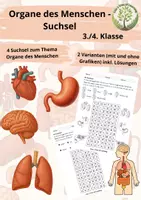 Vorschau - Arbeitsblätter - Organe des Menschen (3./4. Klasse) - Suchsel - Deckblatt