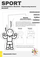 Vorschau - Arbeitsblätter - Sport: Trainingslehre - Muskeln (Anpassung unserer Muskeln) - Deckblatt
