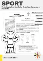 Vorschau - Arbeitsblätter - Sport: Trainingslehre - Muskeln (Arbeitsweise unserer Muskeln) - Deckblatt