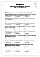 Vorschau - Arbeitsblätter - Sport: Trainingslehre - Muskeln (Arbeitsweise unserer Muskeln) - Seite 3
