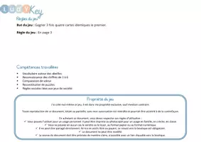 Aperçu - Apprentissages en autonomie - Le jeu Ludy Quattro sur les abeilles - Page 2