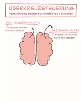 Vorschau - Spiele - Bewegungs- und Konzentrationsübung Würfel - Seite 2