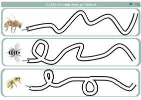 Aperçu - Apprentissages en autonomie - Les fiches de graphisme sur les abeilles - Page 3