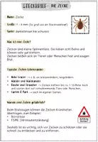 Vorschau - Arbeitsblätter - Steckbrief Zecke : Informationen über Zecken für Grundschüler - Seite 1