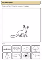 Vorschau - Stundenentwürfe - Der Fuchs, Sachunterricht Klasse 1, Arbeitsblätter und Planung - Seite 3
