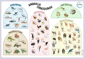 Vista previa - Hojas de trabajo - Animalia ornodunak. Informazio taulak eta irudiak - Portada