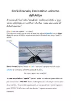 anteprima - Compiti in classe/Test - 🌊 Scienza in fondo al mare – Comprensioni per tutti🐠 - Pagina 1