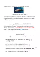 anteprima - Compiti in classe/Test - 🌊 Scienza in fondo al mare – Comprensioni per tutti🐠 - Pagina 2