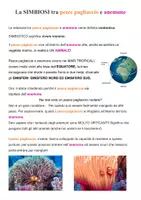 anteprima - Compiti in classe/Test - 🌊 Scienza in fondo al mare – Comprensioni per tutti🐠 - Pagina 3