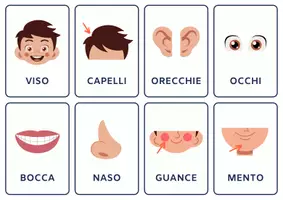 anteprima - Esercizi - Le parti del corpo card plastificabili - Pagina di copertina