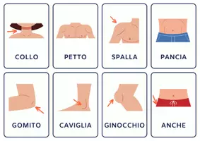 anteprima - Esercizi - Le parti del corpo card plastificabili - Pagina 1