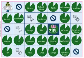 Vorschau - Spiele - Frosch – Artikeltraining (der/die/das), Deutsch, ab 1. Klasse - Seite 2