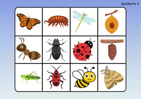 Vorschau - Mal- und Bastelvorlagen - Wortschatz Bingo - Insekten (Klasse 1 und 2) - Seite 3