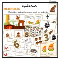Vista previa - Unidades / Secuencias / Situaciones de Aprendizaje - PROYECTO EN EL BOSQUE - ABP INFANTIL - página 3
