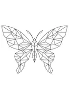Vorschau - Mal- und Bastelvorlagen - Polygone ausmalen Insekten - DaZ/DaF, Deutsch/Kunst - Seite 3
