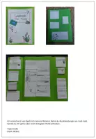 Vorschau - Stundenentwürfe - Der Teich: Wissenskartei und Lapbook - Seite 2
