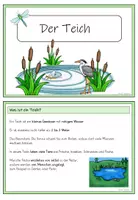 Vorschau - Stundenentwürfe - Der Teich: Wissenskartei und Lapbook - Seite 3